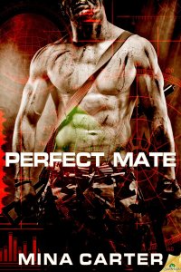 Perfect Mate Cover